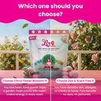 Buy 3 Get 1 free | Mixy Mixy